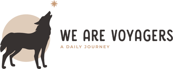 WE ARE VOYAGERS