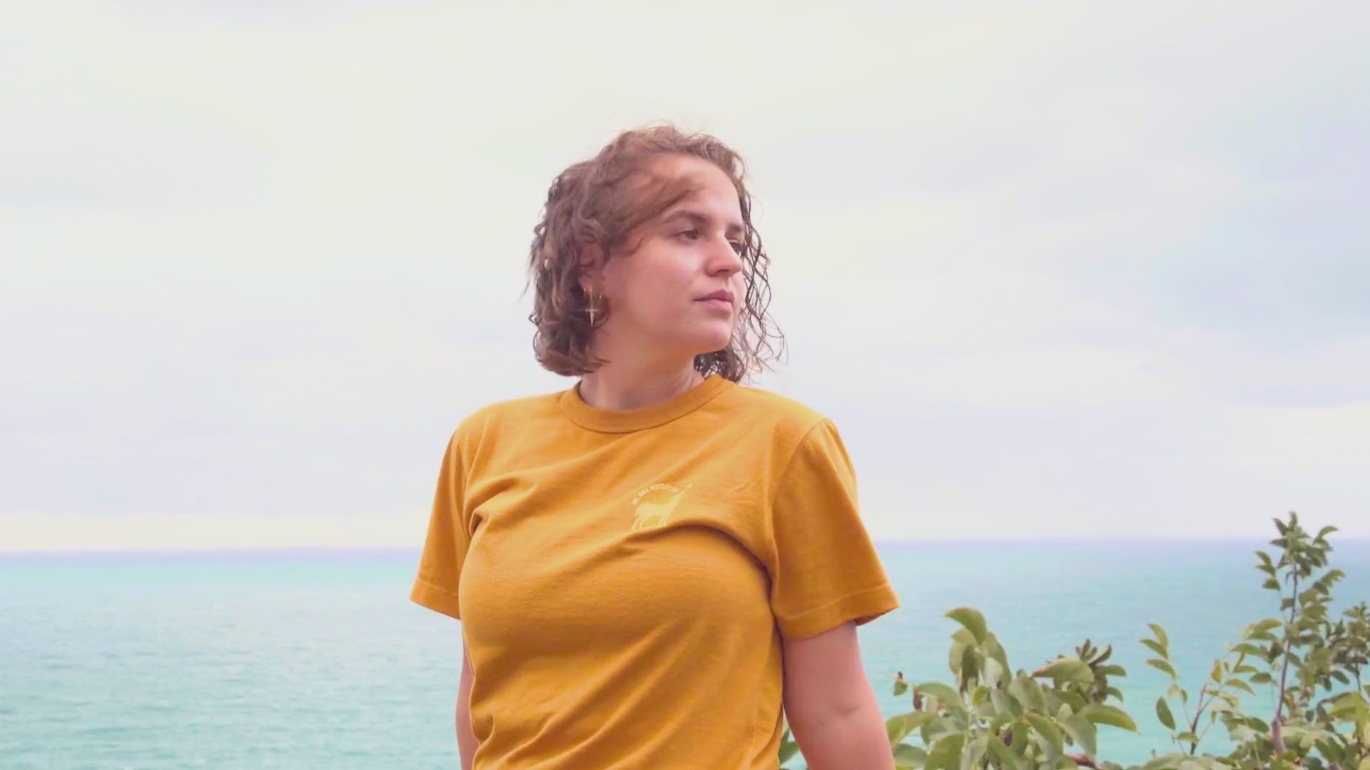 Charger la vidéo : 